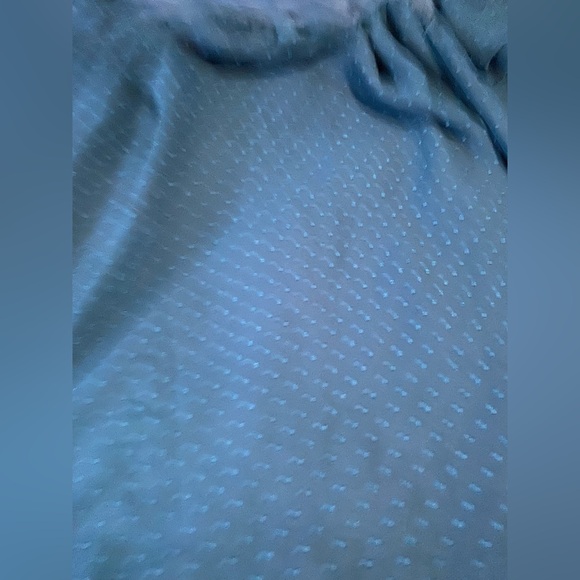 Lane Bryant Blue Ruffled Blouse - Picture 2 of 4